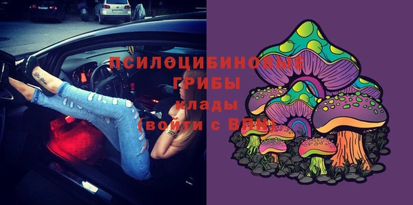 МДПВ Абдулино