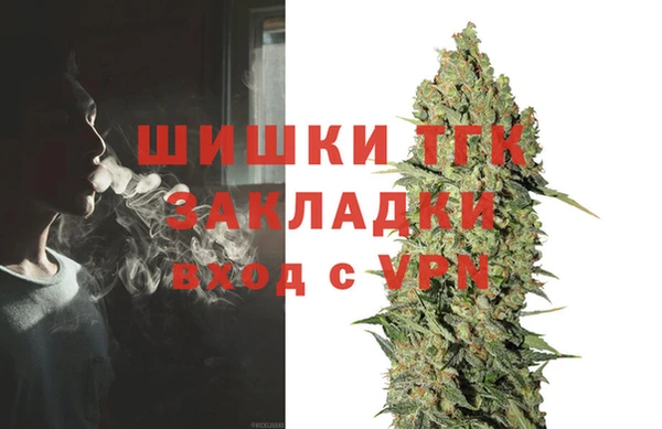 гидра Михайловск