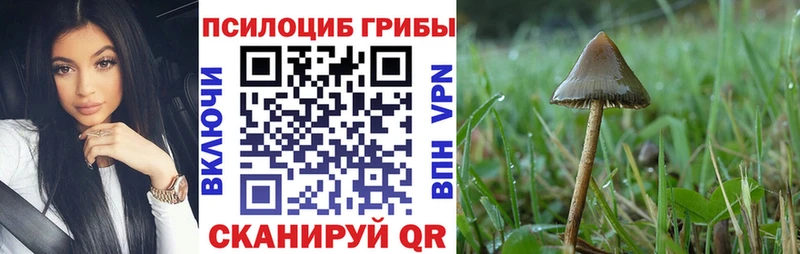 Псилоцибиновые грибы Cubensis  купить наркотики сайты  Таганрог 